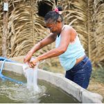Do interior do Maranhão ao mundo: Estação Conhecimento leva experiência sustentável à COP30 em Belém