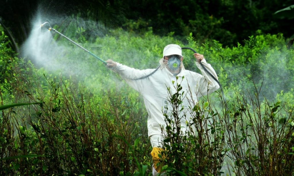 Norma da Anvisa muda avaliação de risco de agrotóxicos no Brasil