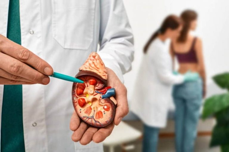 Estudo revela subdiagnóstico da doença renal crônica no Brasil