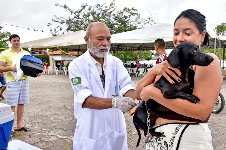 São Luís inicia vacinação antirrábica com meta de imunizar mais de 100 mil cães e gatos